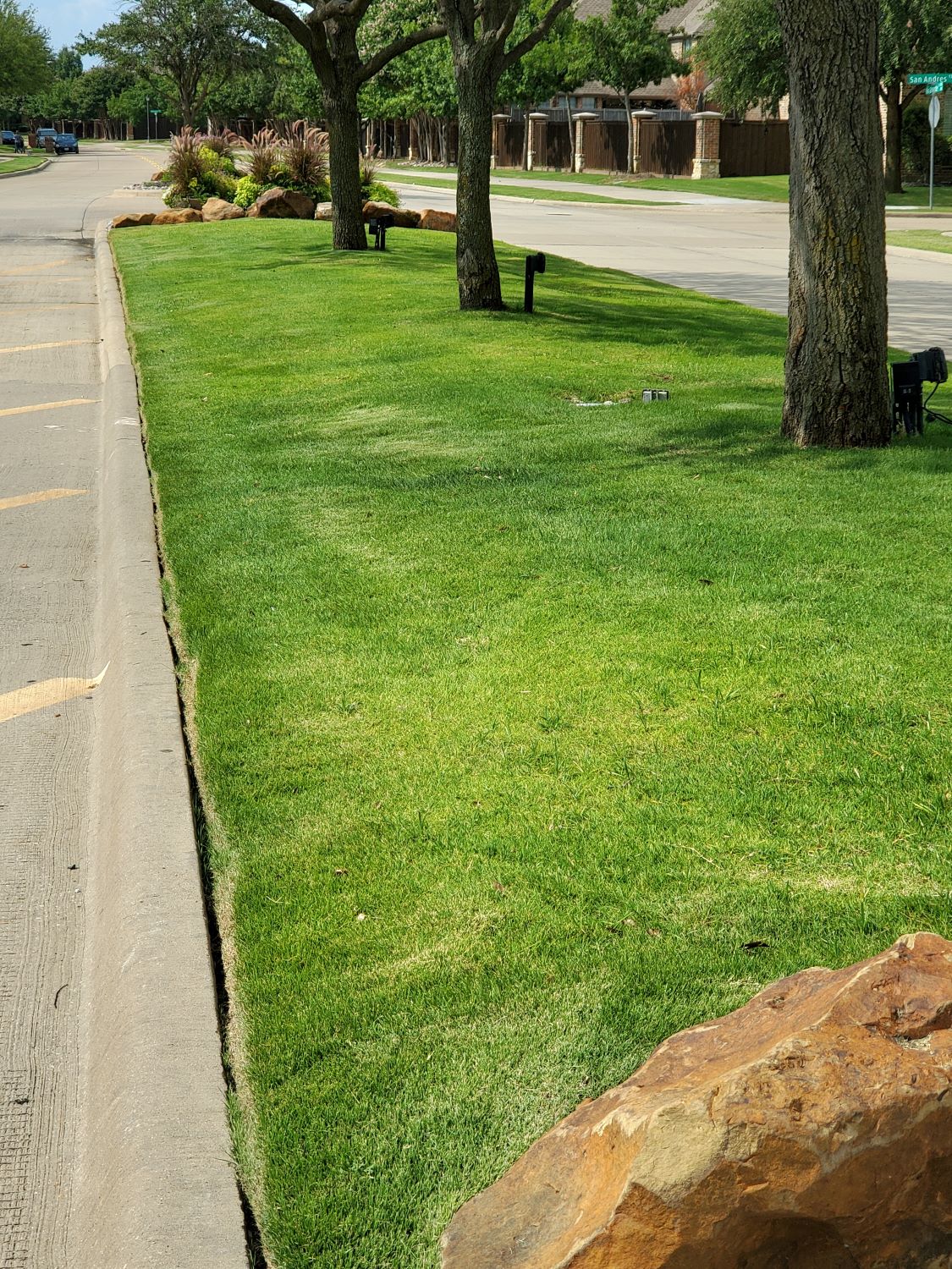 common-grass-types-for-texas-hoas-haven-landscaping-and-irrigation