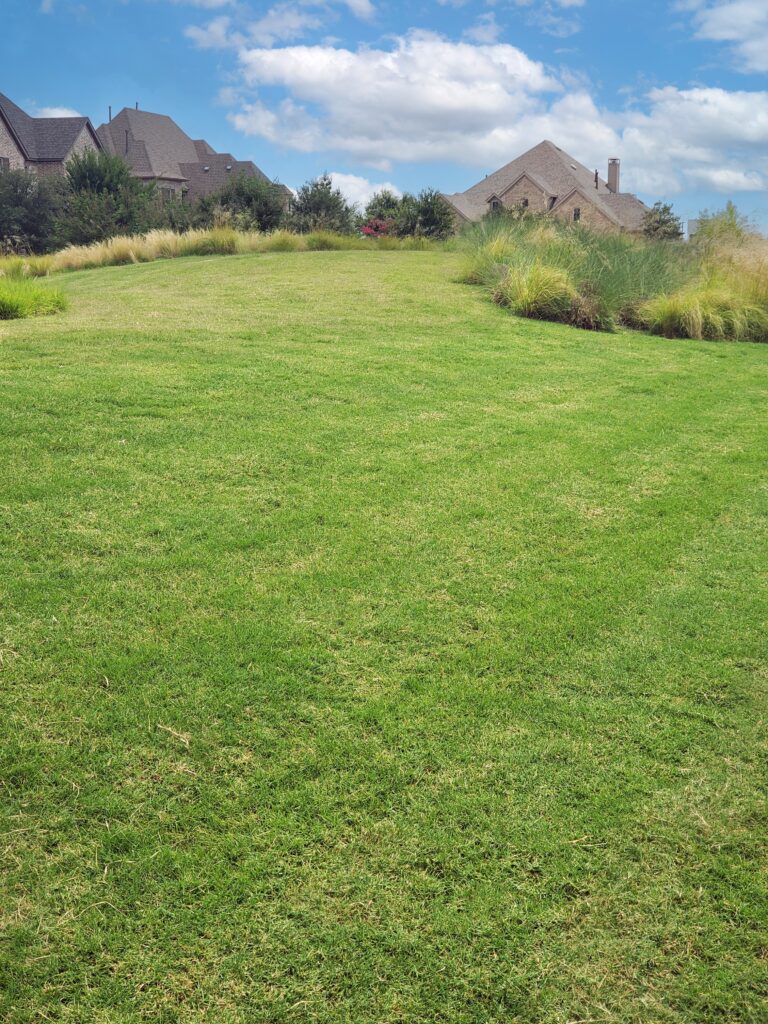 Grass in common areas